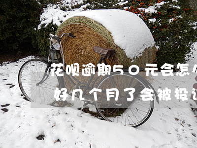 花呗逾期50元会怎么样(花呗欠500逾期好几个月了会被投诉吗)