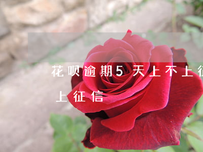 花呗逾期5天上不上征信(花呗逾期5天上不上征信)