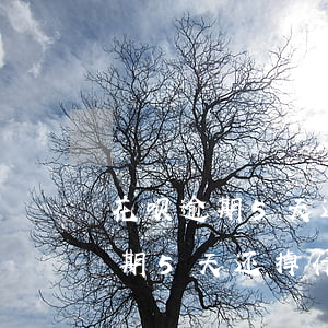 花呗逾期5天还掉什么时候能恢复-花呗逾期5天还掉什么时候能恢复正常
