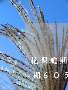 花呗逾期60天还了会影响征信吗-花呗逾期60天还了会影响征信吗怎么办