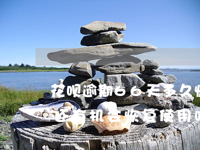 花呗逾期66天多久恢复(花呗逾期了六个月还有机会恢复使用吗?)