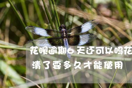 花呗逾期6天还可以吗(花呗逾期了六个月还清了要多久才能使用)