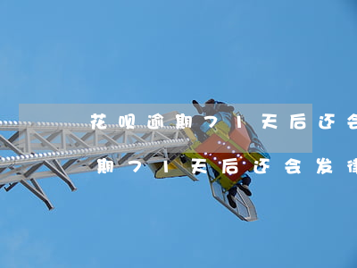 花呗逾期71天后还会发律师函吗-花呗逾期71天后还会发律师函吗是真的吗