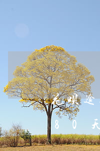 花呗逾期76天会怎么样(我的花呗逾期了180天了欠款两千八然后...)