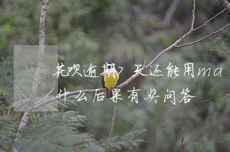花呗逾期7天还能用ma(花呗逾期7天会有什么后果?,有奖问答)