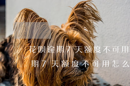 花呗逾期7天额度不可用怎么恢复-花呗逾期7天额度不可用怎么恢复正常