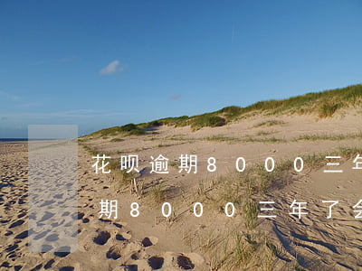 花呗逾期8000三年了会坐牢吗-花呗逾期8000三年了会坐牢吗知乎
