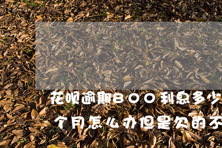 花呗逾期800利息多少(花呗800逾期八个月怎么办,但是欠的不多)