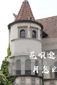 花呗逾期8个月怎么办(花呗800逾期八个月怎么办,但是欠的不多)