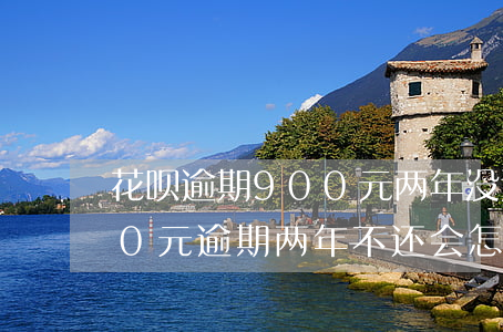 花呗逾期900元两年没还(花呗欠款1000元逾期两年不还会怎样?)