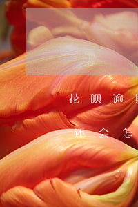 花呗逾期90天会上门吗(花呗超过90天没还会怎么样)