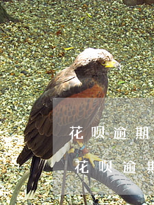 花呗逾期9天还了之后7天以内能不能用-花呗逾期9天还了之后7天以内能不能用了