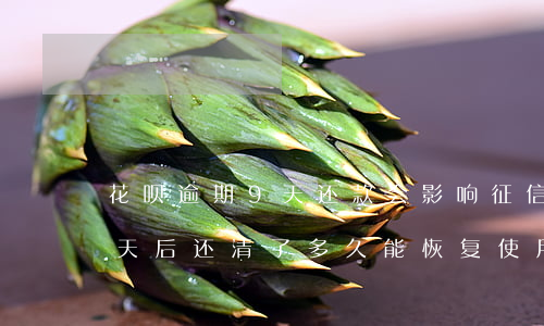花呗逾期9天还款会影响征信吗(花呗逾期9天后还清了多久能恢复使用资格)