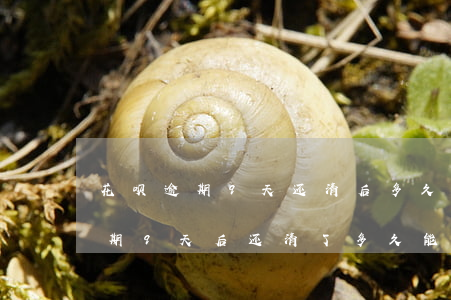 花呗逾期9天还清后多久恢复证信-花呗逾期9天后还清了多久能恢复使用资格