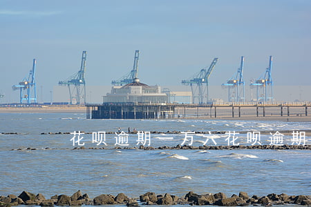 花呗逾期一万六(花呗逾期一万六)