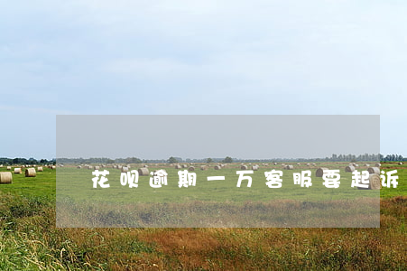花呗逾期一万客服要起诉我