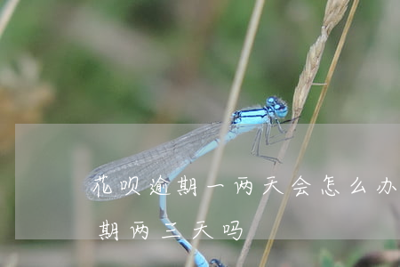 花呗逾期一两天会怎么办(支付宝花呗可以逾期两三天吗)