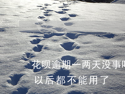 花呗逾期一两天没事吗(花呗逾期两天是不是以后都不能用了?)