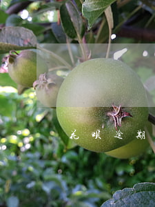 花呗逾期一个星期会不会降额度-