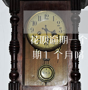 花呗逾期一个月会怎么办(支付宝花呗可以逾期1个月吗)