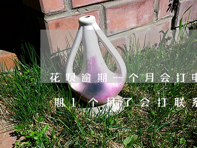 花呗逾期一个月会打电话给朋友吗-花呗逾期1个月了会打联系人电话吗