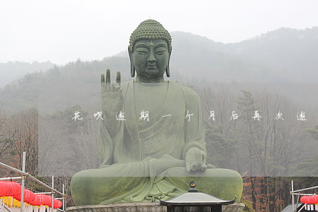 花呗逾期一个月后再次逾期一天-