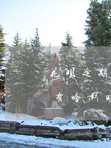 花呗逾期一个月影响借呗吗(借呗逾期一个月有啥影响吗)