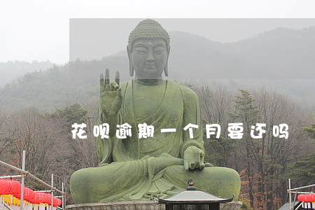 花呗逾期一个月要还吗
