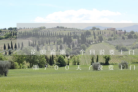 花呗逾期一个月说要上门核实情况-花呗逾期700天了,说要上门核实是真的吗