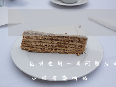 花呗逾期一周问题大吗(支付宝花呗逾期半个小时有影响吗)