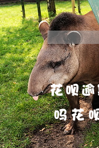 花呗逾期一天上征信了(花呗逾期1天上征信吗?花呗逾期有什么后果)