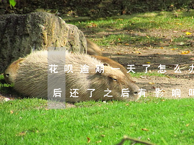花呗逾期一天了怎么办(花呗逾期1天还了之后还了之后有影响吗)