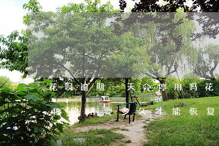 花呗逾期一天会停用吗(花呗逾期了1天被暂停使用要多久才能恢复)