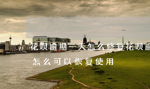 花呗逾期一天怎么修复(花呗逾期了,现在还了,怎么可以恢复使用)