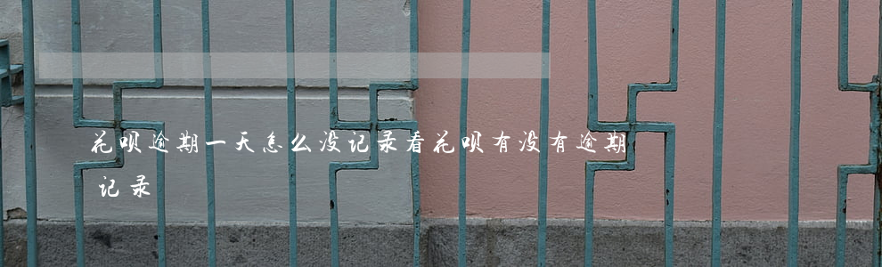 花呗逾期一天怎么没记录(看花呗有没有逾期记录)