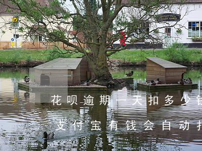 花呗逾期一天扣多少钱(花呗逾期了几个月了支付宝有钱会自动扣吗)