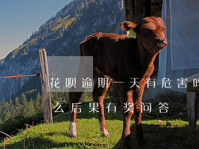 花呗逾期一天有危害吗(花呗逾期两天会有什么后果?,有奖问答)