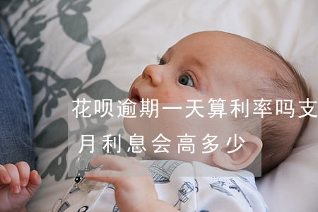 花呗逾期一天算利率吗(支付宝花呗逾期两个月利息会高多少?)