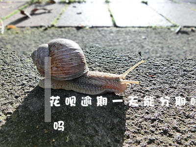 花呗逾期一天能分期吗(花呗逾期一天能分期吗)