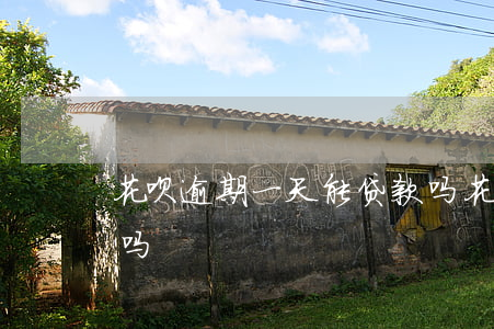 花呗逾期一天能贷款吗(花呗逾期一天能贷款吗)