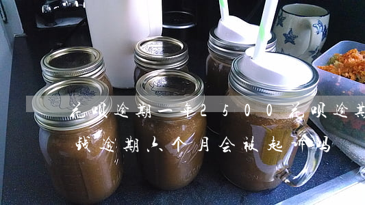 花呗逾期一年2500(花呗逾期1700块钱逾期六个月会被起诉吗)