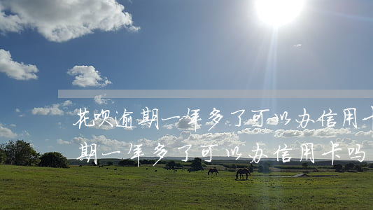 花呗逾期一年多了可以办信用卡吗-花呗逾期一年多了可以办信用卡吗