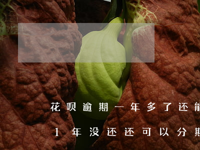 花呗逾期一年多了还能分期还吗-花呗逾期1年没还,还可以分期还吗?