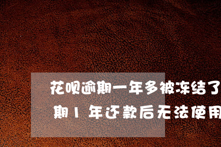 花呗逾期一年多被冻结了多久恢复-花呗逾期1年还款后无法使用多久才能解冻