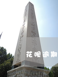 花呗逾期一年是否已经列入黑名单