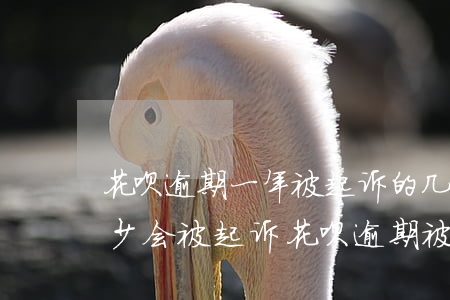 花呗逾期一年被起诉的几率高吗(花呗逾期多少会被起诉?花呗逾期被起诉怎么办)