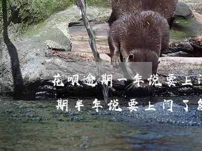 花呗逾期一年说要上门调查真的吗-花呗逾期半年说要上门了解情况是真的吗