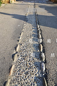 花呗逾期一次被冻结如何恢复(花呗长时间逾期冻结了 大概多久能恢复)