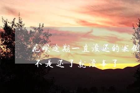 花呗逾期一直没还的案例(花呗逾期被起诉,是不是还了就没事了)