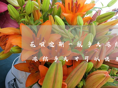 花呗逾期一般多久冻结(花呗逾期八天花呗被冻结多久才可以使用)